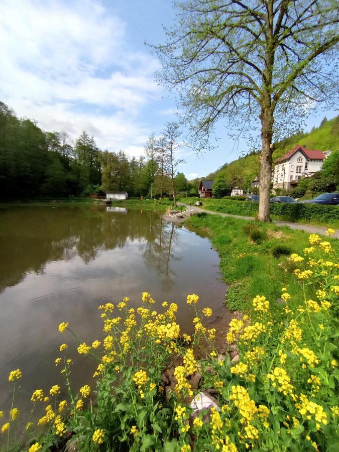 Ferienwohnung Sauerland Burgfenster เลนเนชตัดท์ ภายนอก รูปภาพ