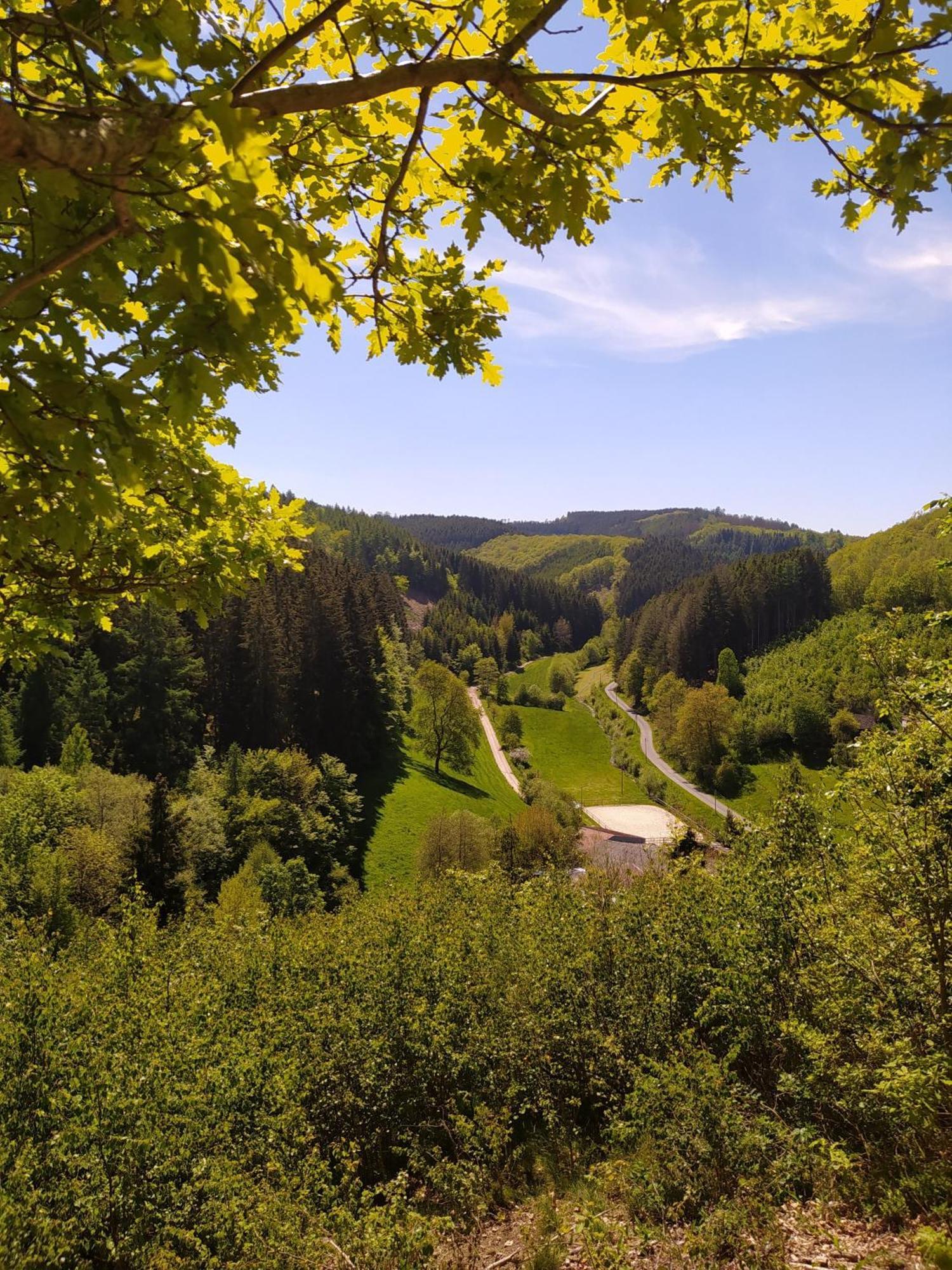 Ferienwohnung Sauerland Burgfenster เลนเนชตัดท์ ภายนอก รูปภาพ